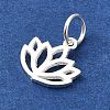 925 Sterling Silver Charms LS-STER-M119-10S-2