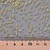 11/0 FGB Grade A Transparent Glass Seed Beads X-SEED-N001-E-302-3
