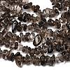 Natural Smoky Quartz Chips Beads Strands F037-4