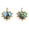 Synthetic Abalone Shell/Paua Shell Charms X-KK-N233-216-2