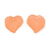 Transparent Acrylic Pendants TACR-S157-01F-3
