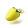 Brass with Enamel Charms KK-Q066-01A-G-2