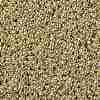 TOHO Round Seed Beads X-SEED-TR11-PF0559-2