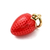 Brass Enamel Charms KK-P303-06E-G-2