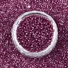 FGB 11/0 Grade A Baking Paint Glass Seed Beads SEED-S030-1147-3