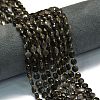 Natural Silver Sheen Obsidian Beads Strands G-K389-B79-01-1