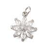 Rack Plating Brass Micro Pave Cubic Zirconia Pendants KK-I716-01P-01-1