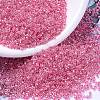 MIYUKI Delica Beads SEED-X0054-DB0236-1