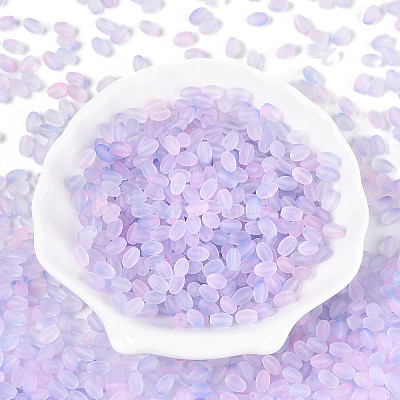 Frosted Glass Seed Beads SEED-N008-05G-1