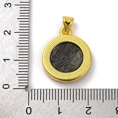 Natural Black Lip Shell Carved Moth Pendants KK-D537-04G-03-1