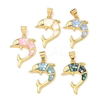 Brass Enamel Pendants KK-H534-01C-G-1
