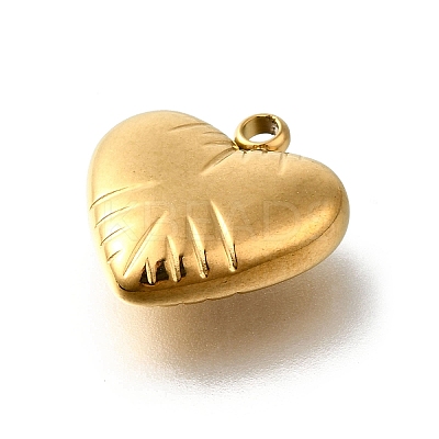 304 Stainless Steel Pendants STAS-V006-03G-06-1