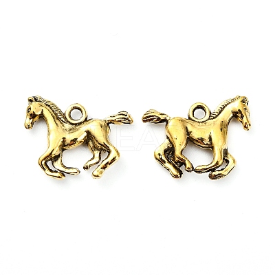 Tibetan Style Alloy Pendants TIBEP-T002-07AG-NR-1
