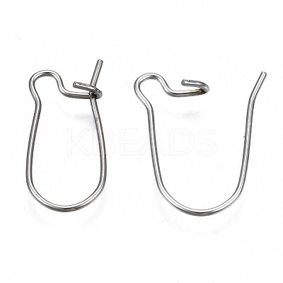 Tarnish Resistant 304 Stainless Steel Hoop Earring Findings STAS-S117-008A-01-1