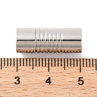 Tarnish Resistant 304 Stainless Steel Magnetic Clasps with Glue-in Ends STAS-E006-40-1