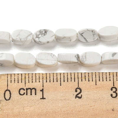 Natural Howlite Beads Strands G-M420-H14-03-1