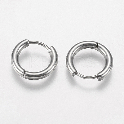 Tarnish Resistant 304 Stainless Steel Huggie Hoop Earring Findings STAS-I097-051C-1