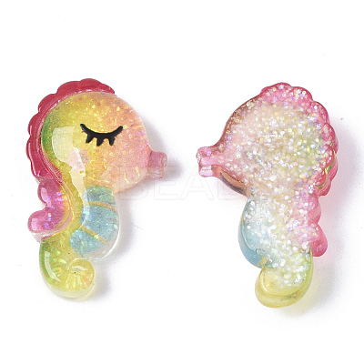 Resin Cabochons CRES-R430-06-1