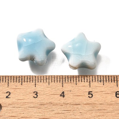 Handmade Porcelain Beads PORC-H013-05-18-1
