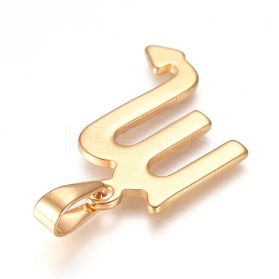 304 Stainless Steel Pendants STAS-L210-06G-G-1