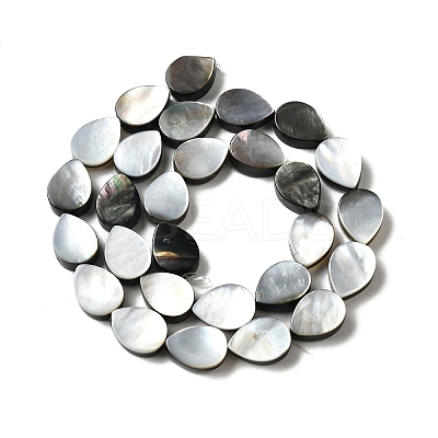Natural Black Lip Shell Beads Strands BSHE-D300-04B-1