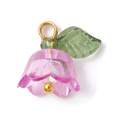 Transparent Acrylic Beads Pendants PALLOY-JF02432-1