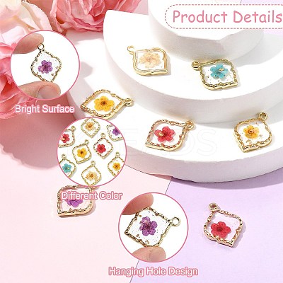 10Pcs 5 Colors Zinc Alloy Epoxy Resin Pendants FIND-CJ0004-93-1
