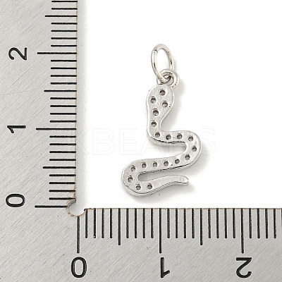 Rack Plating Brass Micro Pave Clear Cubic Zirconia Pendants KK-B093-02F-P-1