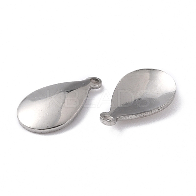 Tarnish Resistant 201 Stainless Steel Charms STAS-K217-87-1
