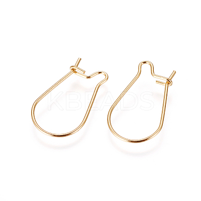 316 Surgical Stainless Steel Hoop Earrings Findings LS-X-STAS-F216-01G-1