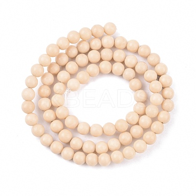 Natural Fossil Beads Strands X-G-E110-4mm-2-1