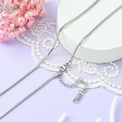 304 Stainless Steel Snake Chain Necklace for Men Women NJEW-YW0001-10-1