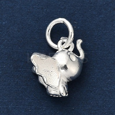 925 Sterling Silver Pendants LS-FIND-Z069-02S-1