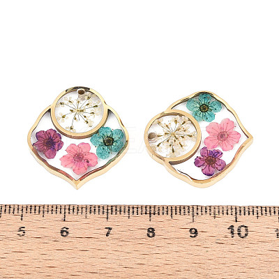 304 Stainless Steel Epoxy Resin Pendants STAS-T072-17-1