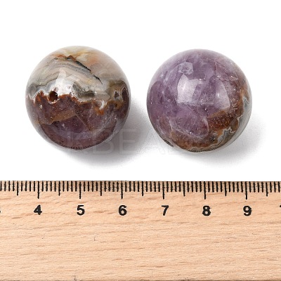 Natural Amethyst Lace Agate Beads G-A282-01-1