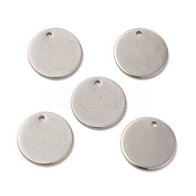 Non-Tarnish 304 Stainless Steel Charms LS-STAS-L207-24C-P-1