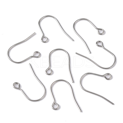 Tarnish Resistant 304 Stainless Steel Ear Wire STAS-H020-NF-1