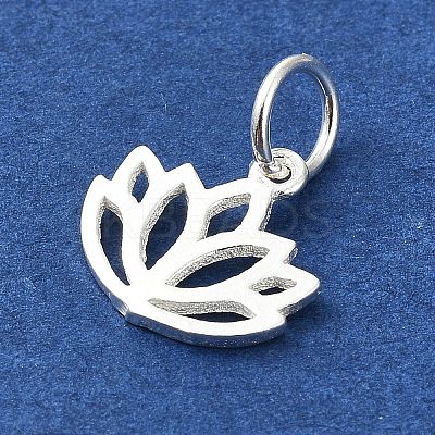 925 Sterling Silver Charms LS-STER-M119-10S-1