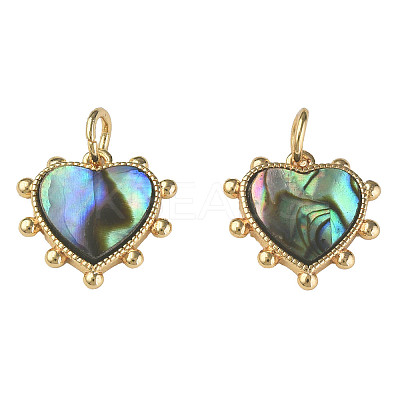 Synthetic Abalone Shell/Paua Shell Charms X-KK-N233-216-1