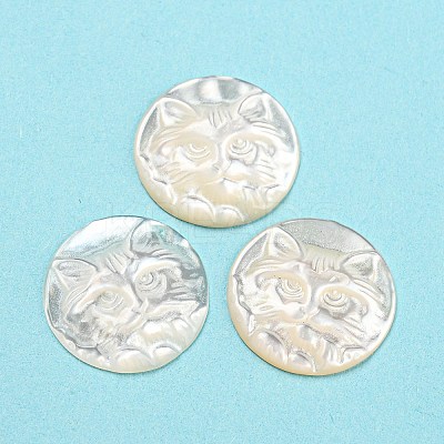 Natural Sea Shell Cabochons SHEL-D079-23-1