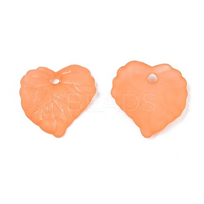 Transparent Acrylic Pendants TACR-S157-01F-1