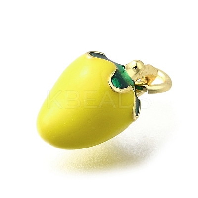 Brass with Enamel Charms KK-Q066-01A-G-1