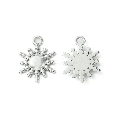 Non-Tarnish 304 Stainless Steel Charms STAS-L269-039P-1