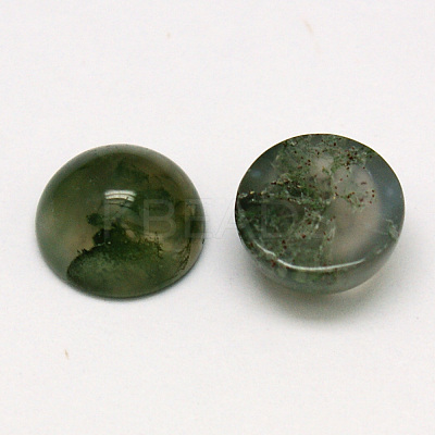 Natural Moss Agate Cabochons X-G-P393-R28-12mm-1