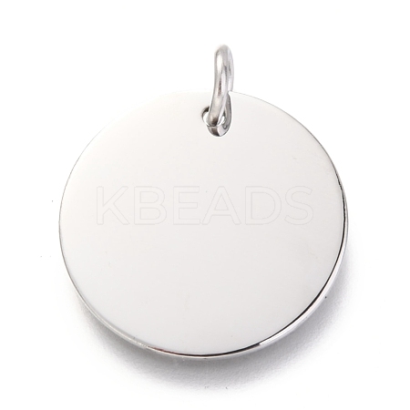 Non-Tarnish 304 Stainless Steel Charms EJEW-L238-03E-P-1