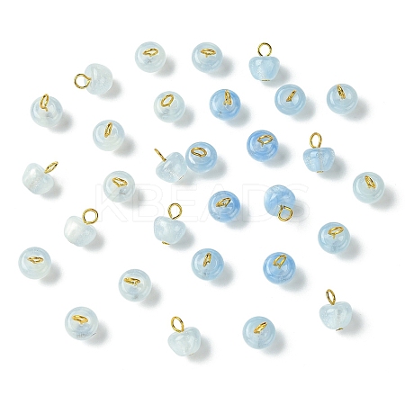 30Pcs Resin UV Reactive Charms PALLOY-YW00173-04-1