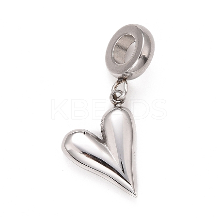 Non-Tarnish 304 Stainless Steel European Dangle Charms LS-STAS-I194-16P-1