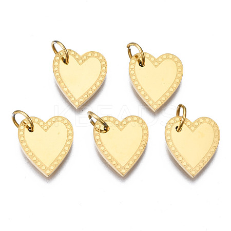 316 Surgical Stainless Steel Charms STAS-N097-021-1