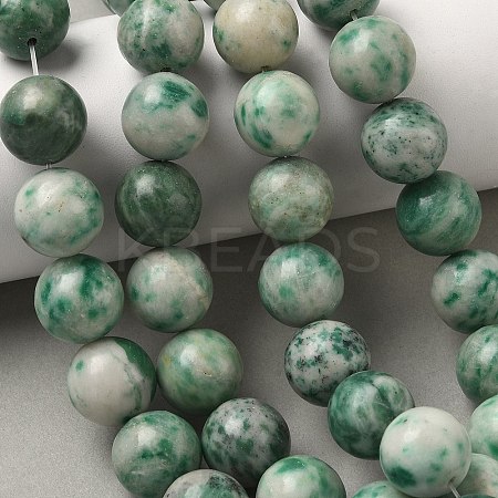 Natural Green Spot Jasper Beads Strands G-F818-A05-14mm-1