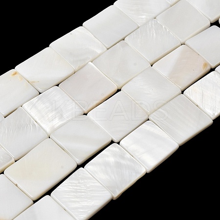 Natural Freshwater Shell Beads Strands SHEL-A006-10B-1